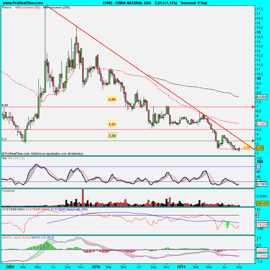 CHINA NATURAL GAS