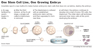 DibujoSTEMCELLS