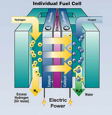 FCEL