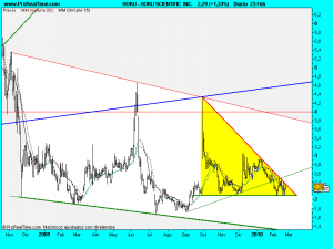 HOKU SCIENTIFIC  INC..23febdiario