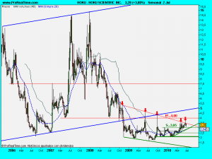 HOKU SCIENTIFIC  INC.