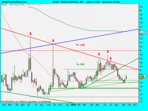 HOKU SCIENTIFIC  INC.