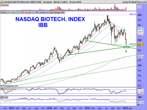 NASDAQ BIOTECHNOLOGY INDEX FUND