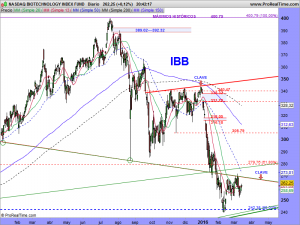 NASDAQ BIOTECHNOLOGY INDEX FUND