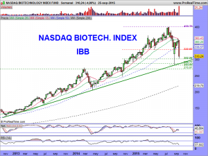 NASDAQ BIOTECHNOLOGY INDEX FUND