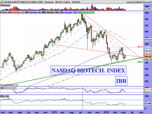 NASDAQ BIOTECHNOLOGY INDEX FUND