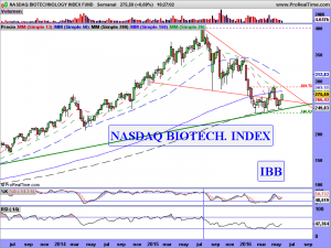 NASDAQ BIOTECHNOLOGY INDEX FUND