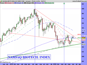 NASDAQ BIOTECHNOLOGY INDEX FUND