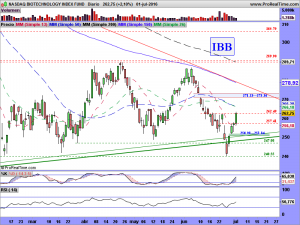 NASDAQ BIOTECHNOLOGY INDEX FUND