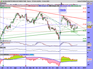 NASDAQ BIOTECHNOLOGY INDEX FUND