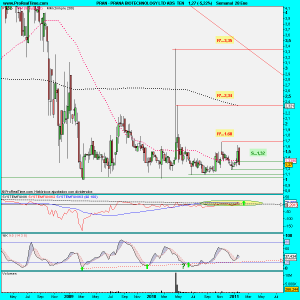 PRANA BIOTECHNOLOGY LTD ADS  TEN