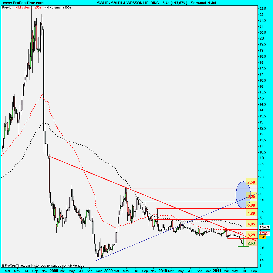 SMITH & WESSON HOLDING