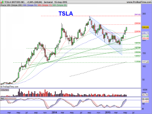 TESLA MOTORS INC.