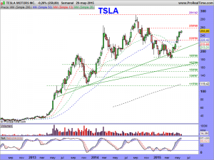 TESLA MOTORS INC.