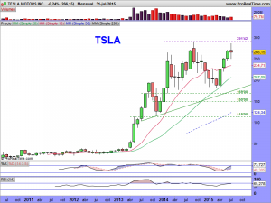 TESLA MOTORS INC.