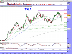 TESLA MOTORS INC.