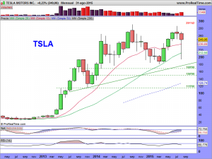 TESLA MOTORS INC.