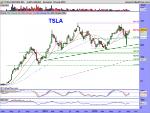 TESLA MOTORS INC.