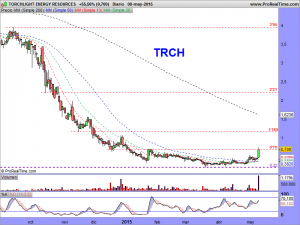 TORCHLIGHT ENERGY RESOURCES