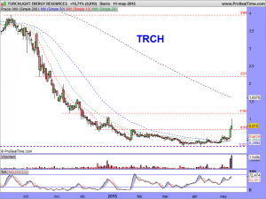 TORCHLIGHT ENERGY RESOURCES