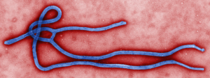 ebola