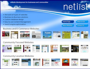 netlist